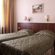 Номер двухместный Твин фото