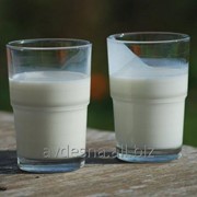Обрат молока (обезжиренное молоко)