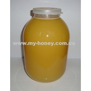 Мёд сборный (3л) фото