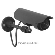 Услуга видеонаблюдение фото