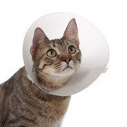 Ветеринарный воротник для кошек Trixie, 22-25 см / 7,5 см фото