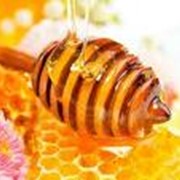Мёд натуральный из степного разнотравья фото