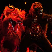 Светодиодное шоу, электрические костюмы, лайт-шоу, огненное шоу, огненный театр, ростовые куклы, танец дракона, танец тигра, костюм дракона, костюм быка, red-bull, символ года, оригинальный жанр, шоу-программа, шоу-группа, восточное шоу, восточный театр фото