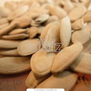 Семечки тыквы фото