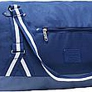 Дорожная сумка Bagland Preston 0031766 синий фото