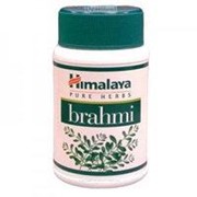 Brahmi Брахми (Bacopa monniera) фото