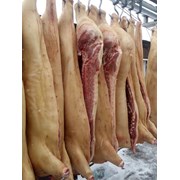 Мясо свинины охлажденное фотография