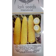 Продаем семена кукурузы Добрыня F1 в Краснодаре фото