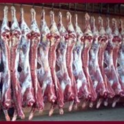 Мясо говядины оптом, заморозка, полутуши, Казахстан. фото
