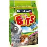 Лакомство-заточка битс для зубов для Грызунов Vitakraft Fit Bits 500 гр