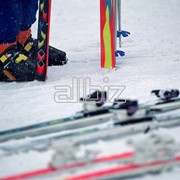 Лыжи горные фото