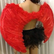 Большущие красные крылья Ангела, 100 см. на 100 см.
