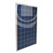 Солнечная панель 225 Ватт SolarSwiss фото