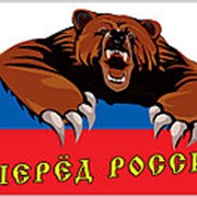 Флаг ВПЕРЕД РОССИЯ 90х135 фото