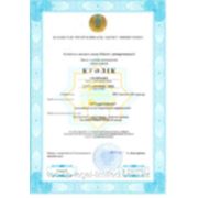 Регистрация ТОО, ИП в Казахстане