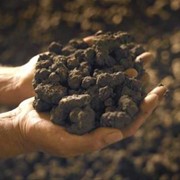 Темно-серые глины фото