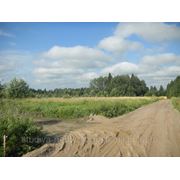 Участок в п.Лебяжье фото