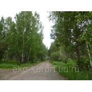 Участок земельный в Солнечном, Финский Залив фото