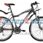 Велосипед горный Hesper 1.0 (17, 19)