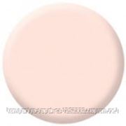 Polish Pro Light-Cured Nail Polish (Pale Pink-Бледно-розовый) - цветной гель-лак с кисточкой, 1/2 oz, (15 мл.) фото