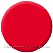 Polish Pro Scarlet-Алый 0033 цветной гель-лак с кисточкой 15 мл UV, LED фотография