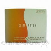 Slim Patch(Пластырь для похудения с магнитом) фото