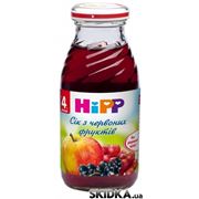 HiPP Сок из красных фруктов (упаковка 6 шт. HiPP Сок из красных фруктов (упаковка 6 шт.) фотография