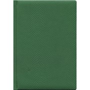 Ежедневник ПИТОН, недатир., ф.А5, зеленый, кожзам, 160 с., (Проф-Пресс)