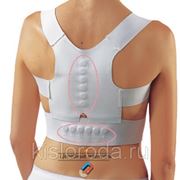 Магнитный корректор осанки Magnetic Posture Support размер L-XL, талия (81 - 117 см) фото