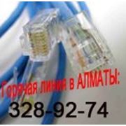 Монтаж сетей в Алматы, настройка сетей в Алматы, больших и малых локальных сетей в Алматы,UTP кабель в алматы, фотография