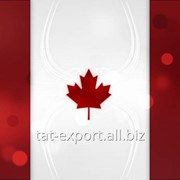 Экспорт и доставка в Канаду