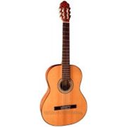 Miguel J Almeria классическая концертная гитара Premium 10-С фото