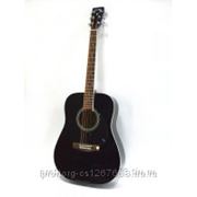 Tenson D-10 BK акустическая гитара фото