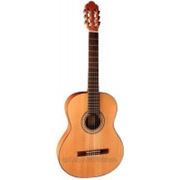 Miguel J Almeria классическая концертная гитара Premium 10-CM фото
