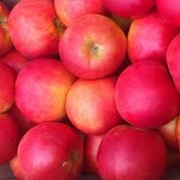 Яблоки натуральные фото