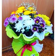 Букет из 7 кустовых разноцветных хризантем “С Днем Рождения!“ фото