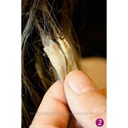 Коррекция капсульного наращивания волос фото