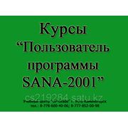 Курсы "Пользователь программы SANA-2001"