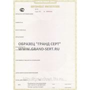 Сертификат соответствия Таможенного союза ТС фотография
