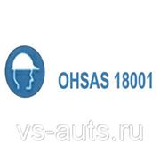 Система управления безопасностью на производстве OHSAS 18001 фото