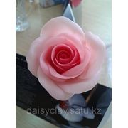 Лепка цветов из флористической глины THAI CLAY "Юношеская"