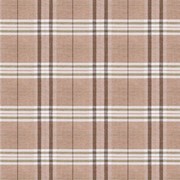 Ткань мебельная Жаккардовый шенилл Scotch pled sage фото