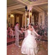 Спецэффект «Мыльные пузыри» на вашей свадьбе фото