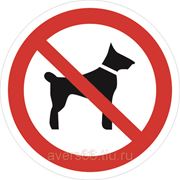 Знак «Запрещается вход с животными» фото