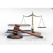 Защита в судах, Житомир и Житомирская область