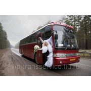 Заказ автобуса на свадьбу фото
