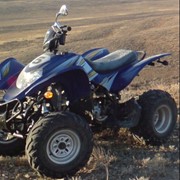 Квадроцикл Lifan LF250 ST-5 фото