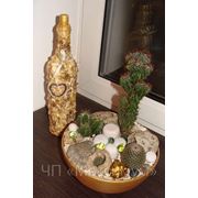 Композиции из кактусов фото