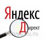 Интернет-реклама (Яндекс.Директ) фото