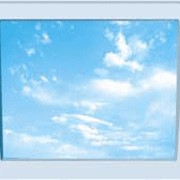 Монитор SONY 14 фото